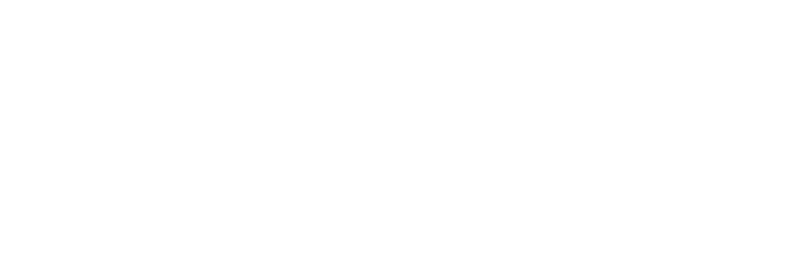 芸能市場